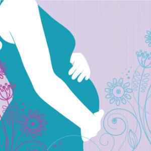 pregnancy illustration, Pim / Shutterstock.com